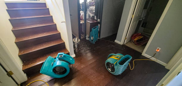 Best Local water damage restoration  in Arden On The Severn, MD