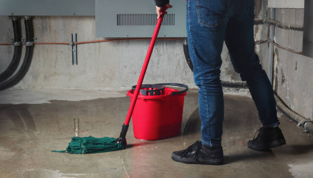 Best Water damage cleanup near me  in Arden On The Severn, MD