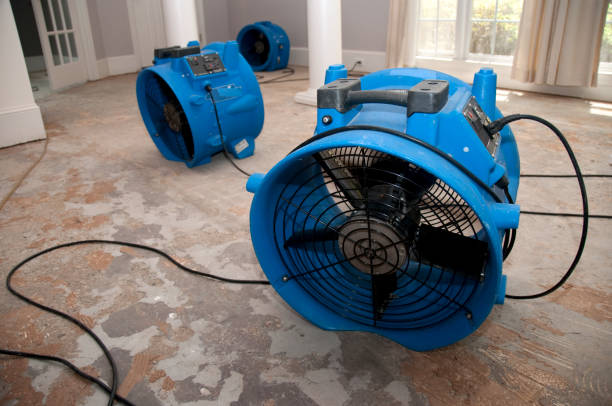 Best Water damage restoration near me  in Arden On The Severn, MD