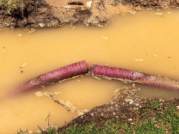 Best Water damage restoration near me  in Arden On The Severn, MD
